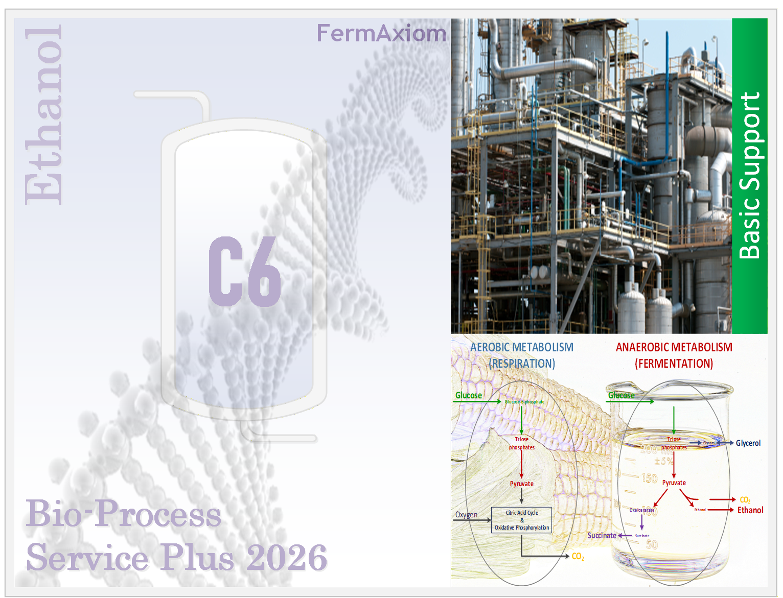 C6 BioProcess Service Plus