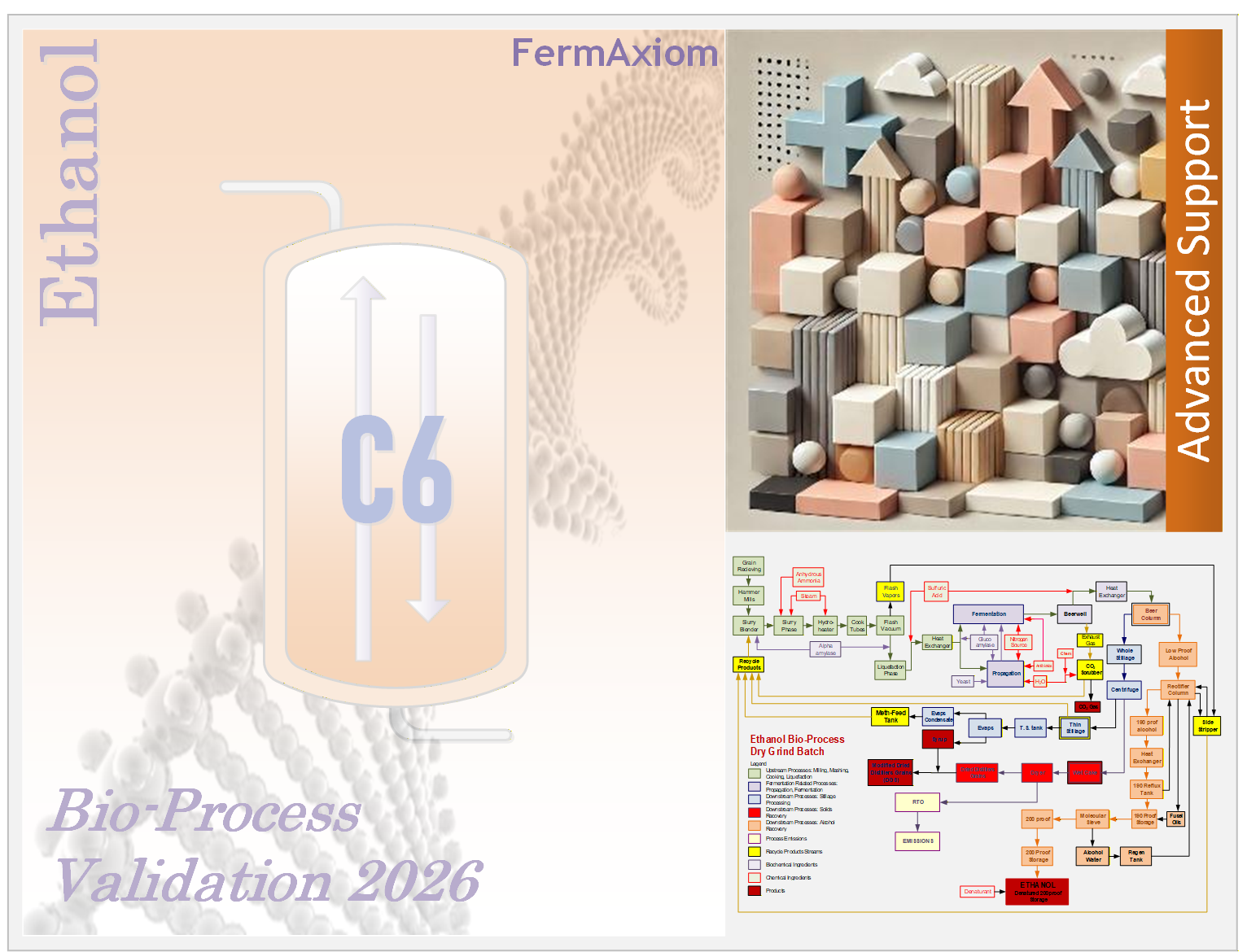C6 BioProcess Validation